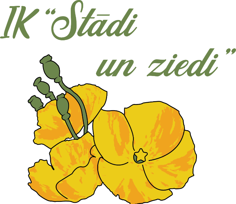 stadiunziedi